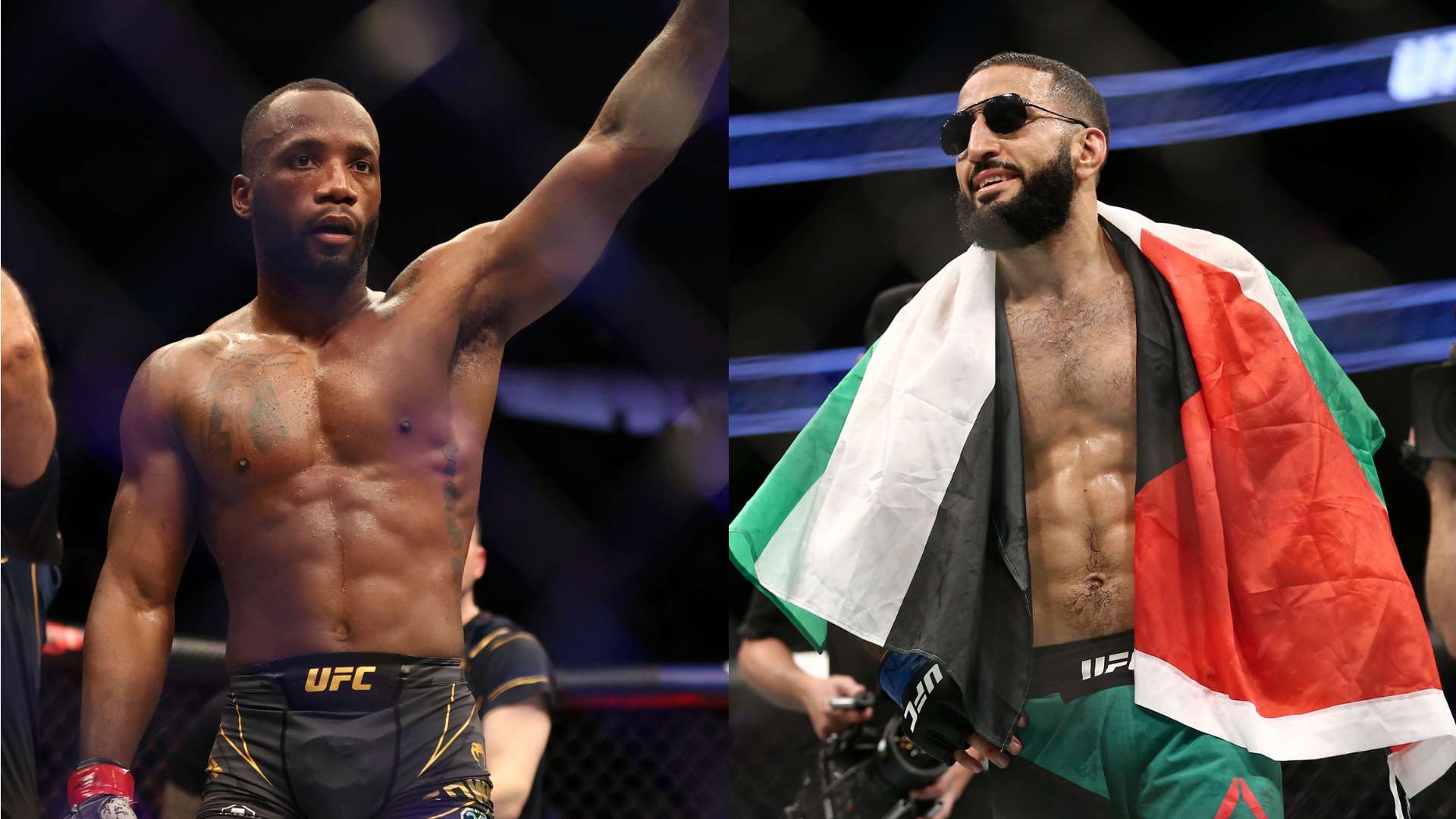 更多的法律 更多的法律